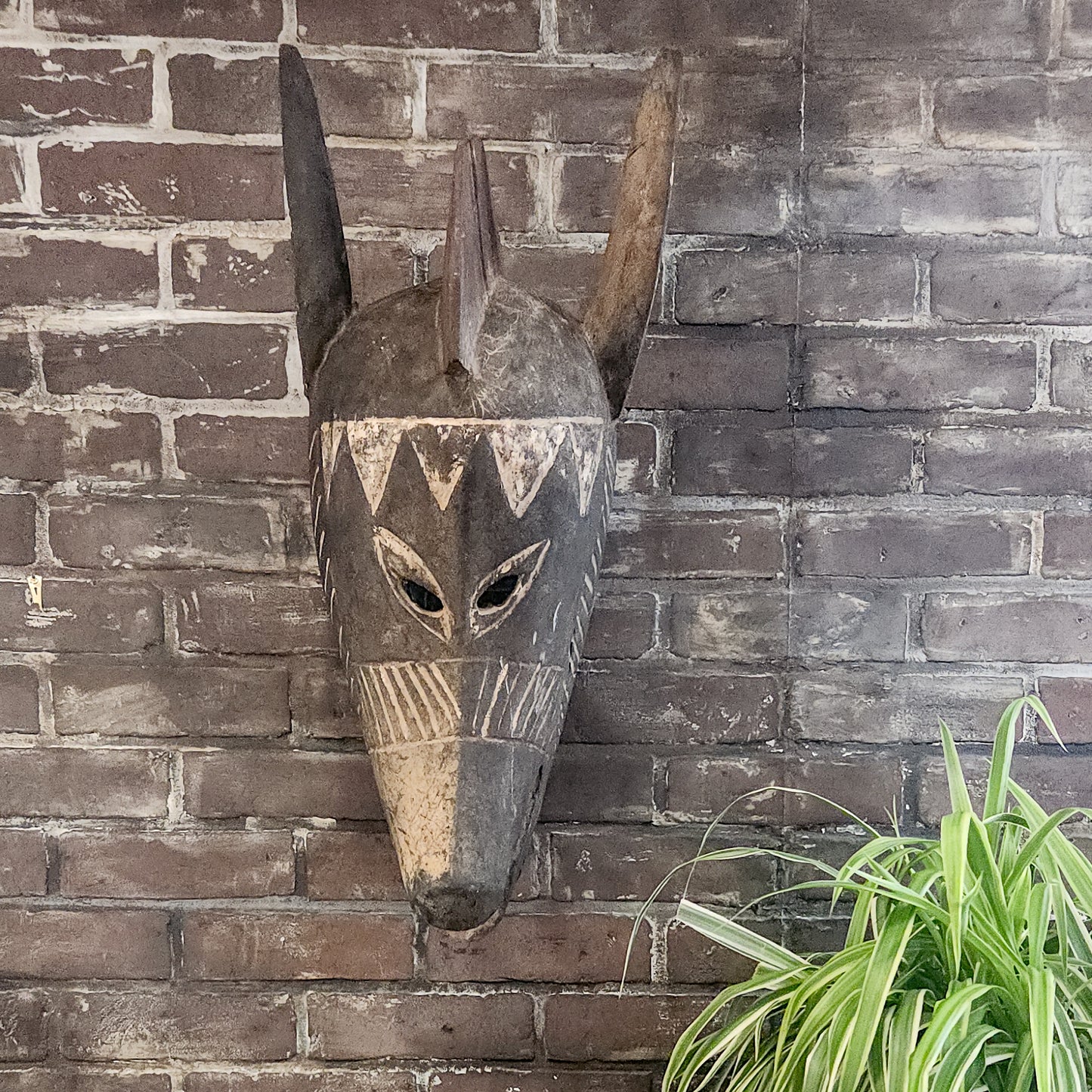 Hyena Mask
