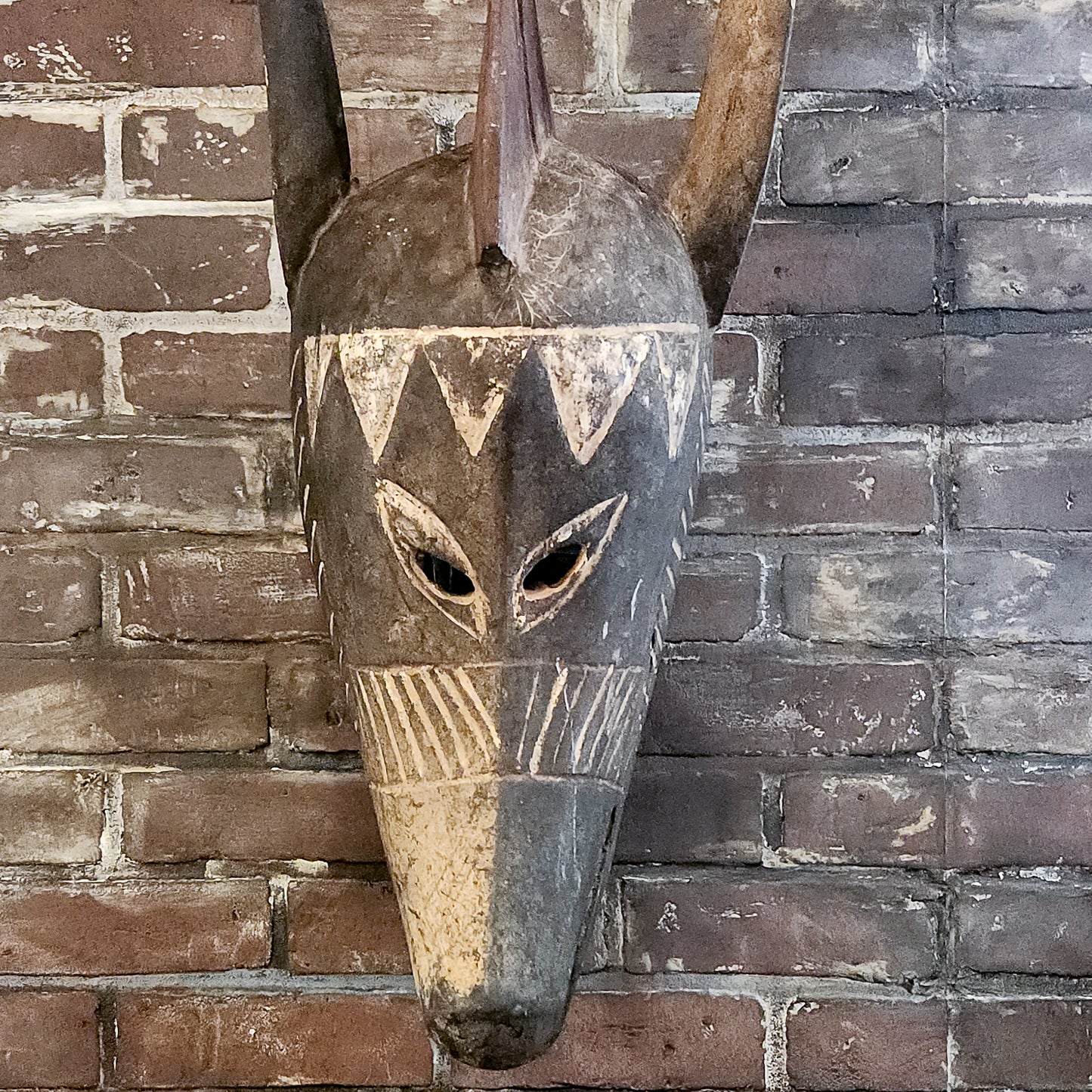 Hyena Mask