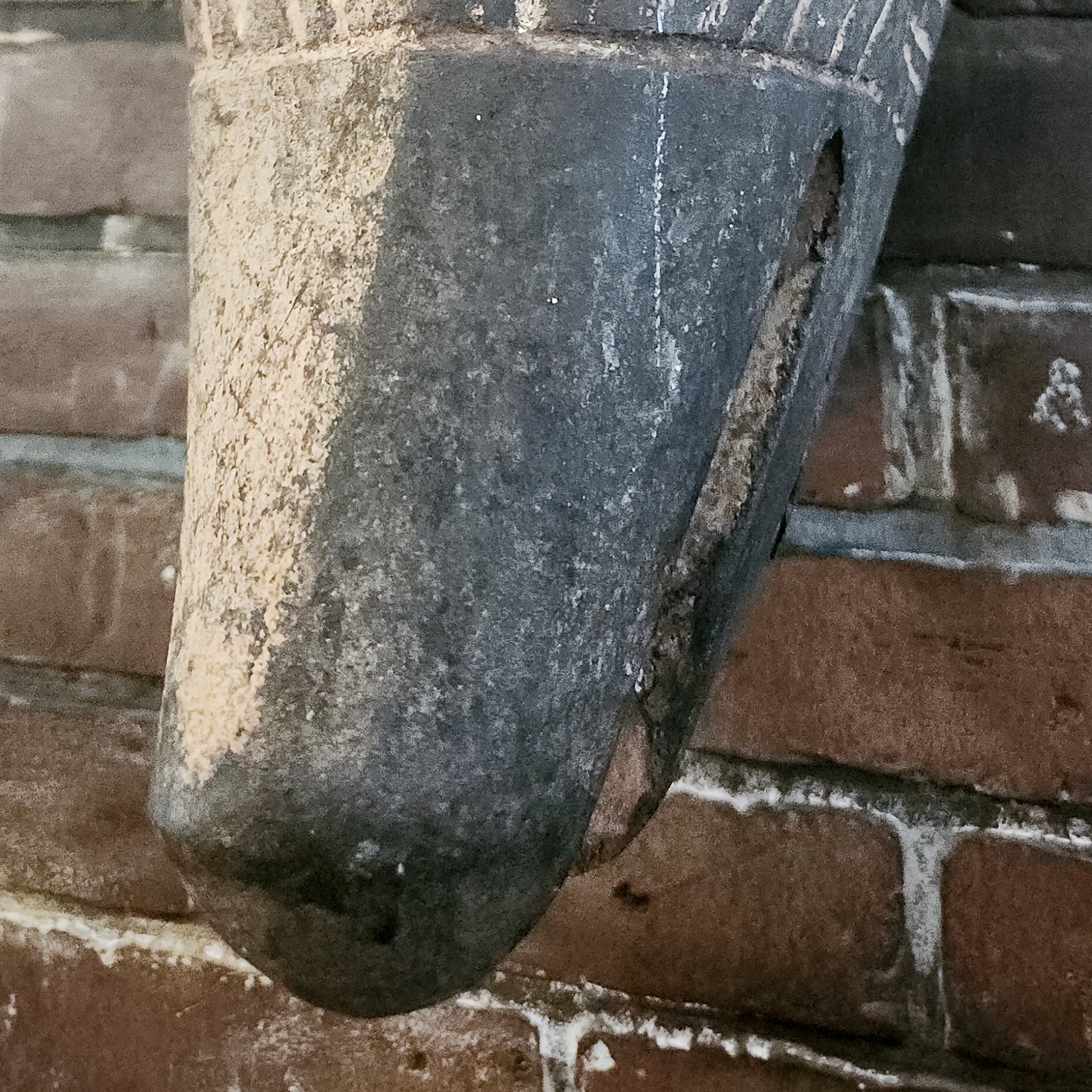 Hyena Mask