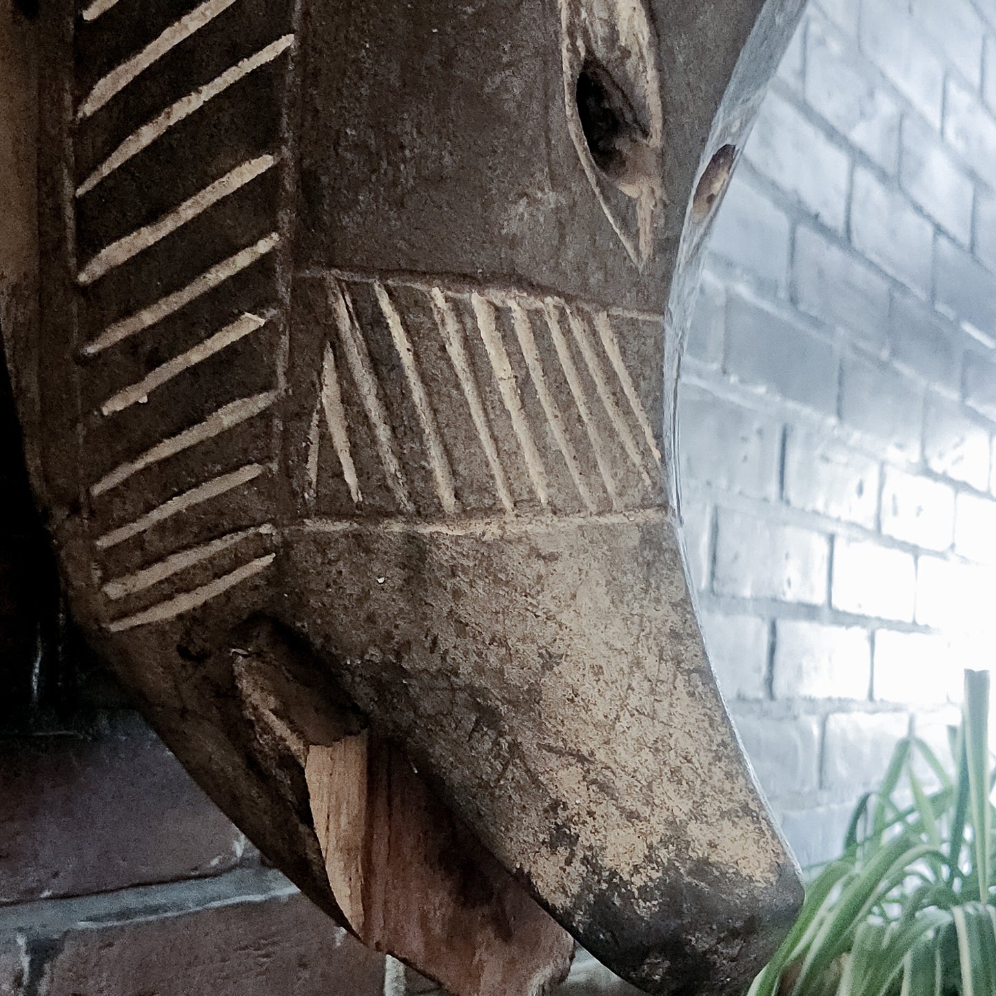 Hyena Mask