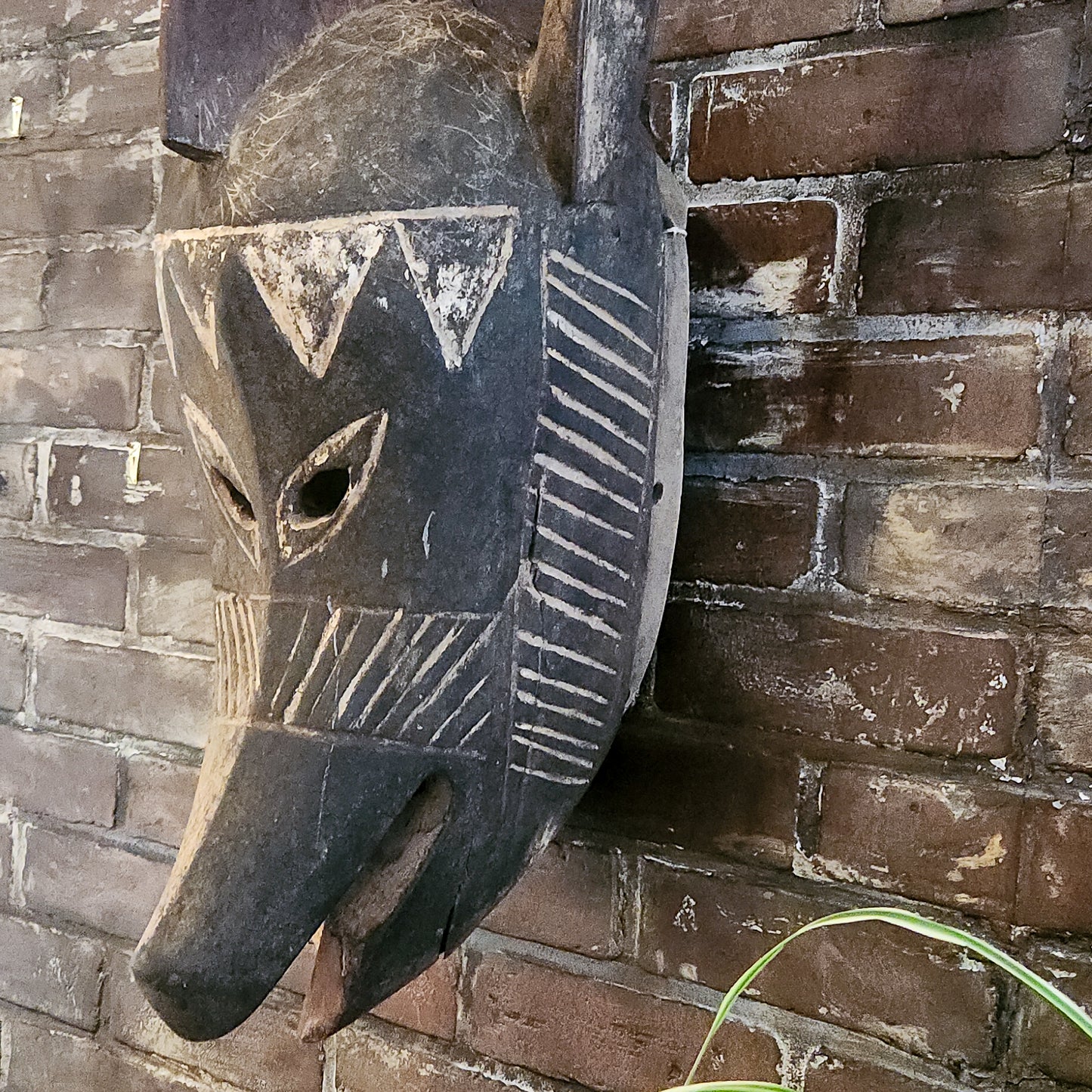 Hyena Mask