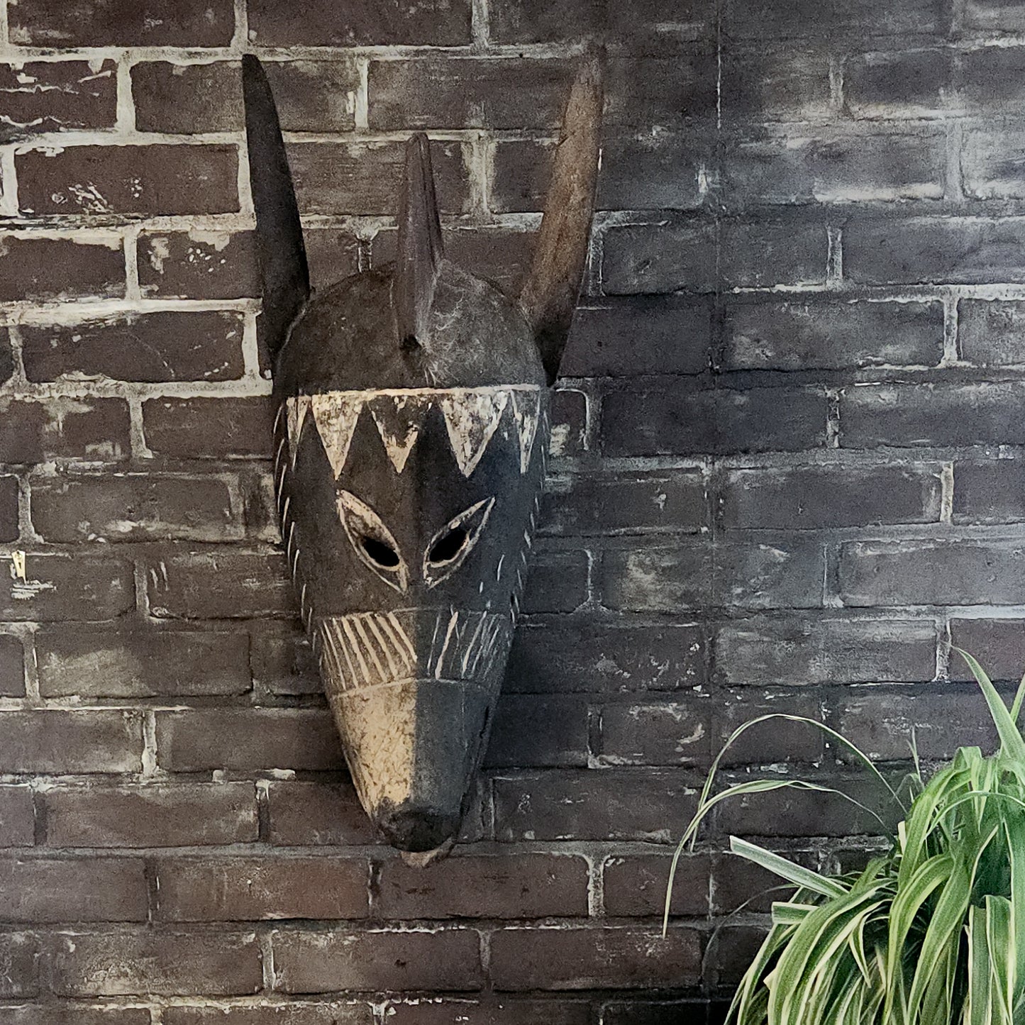 Hyena Mask