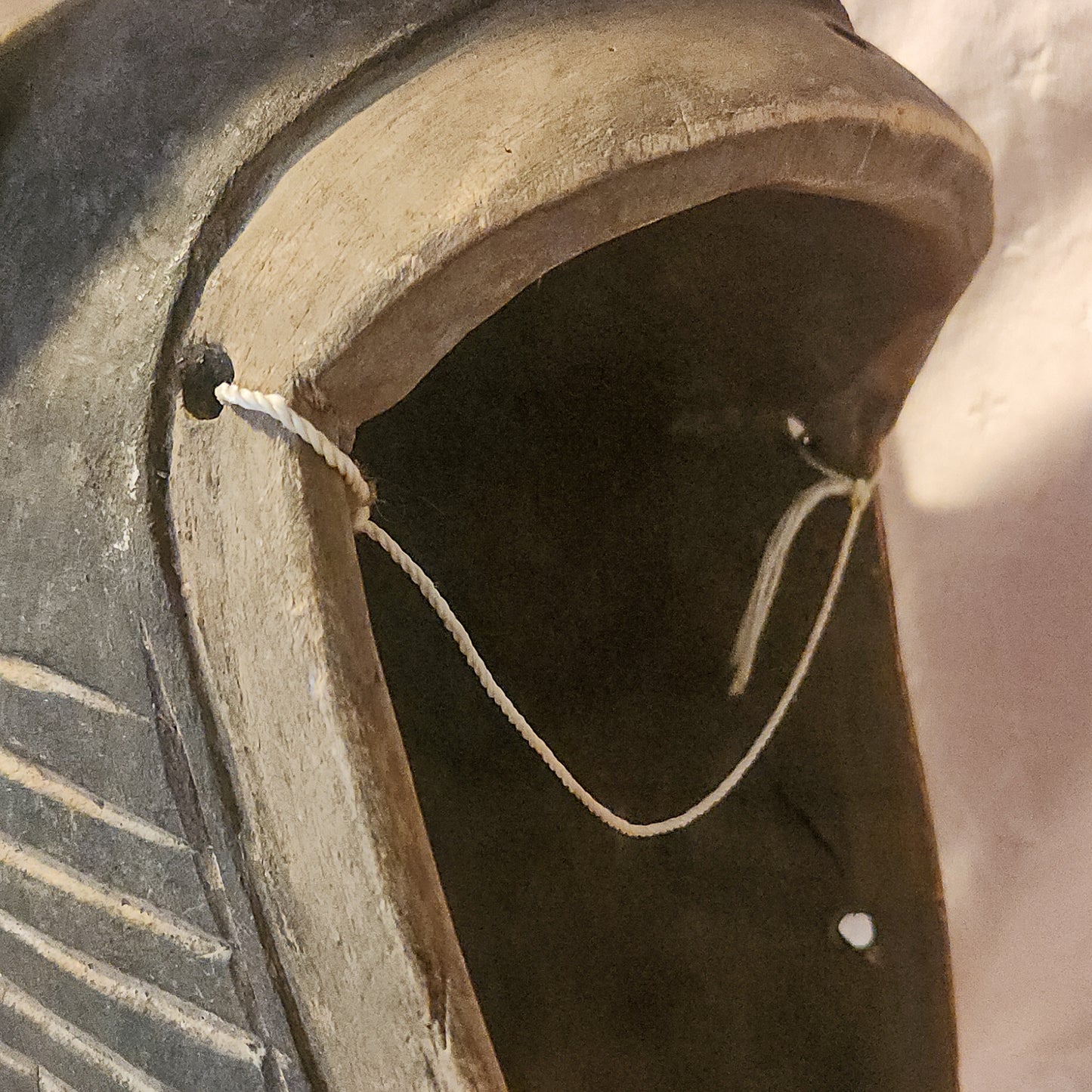 Hyena Mask