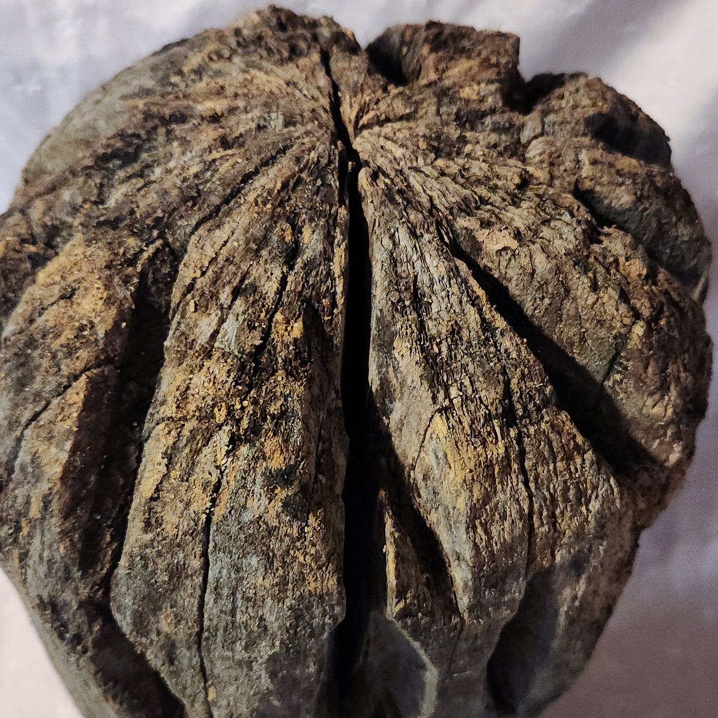 Hand Carved Wooden Mushroom