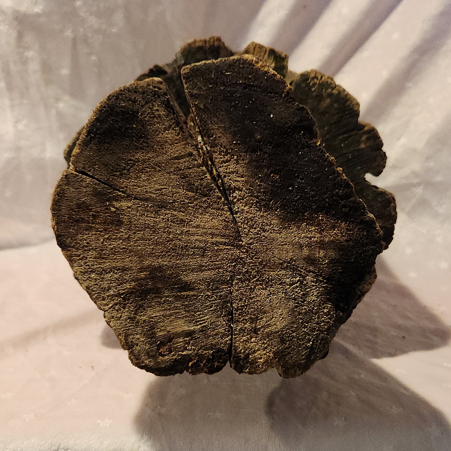 Hand Carved Wooden Mushroom