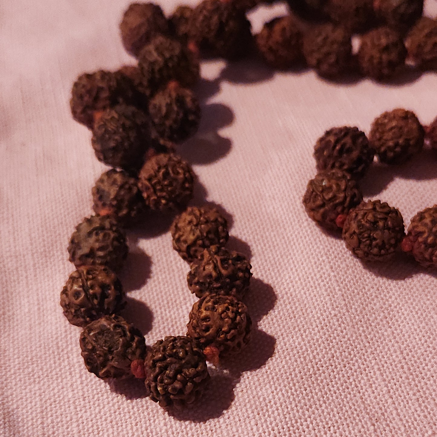Rudraksha Seed Prayer Beads