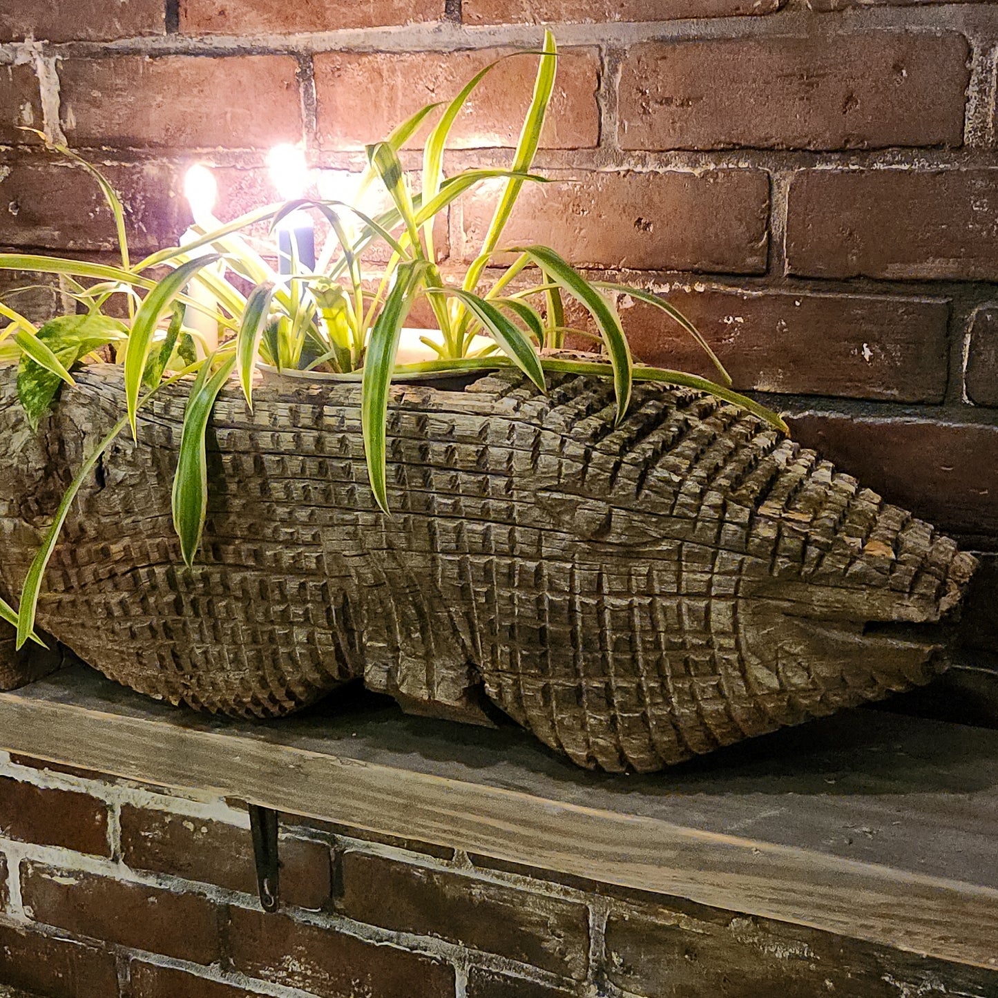 Wooden Alligator Planter