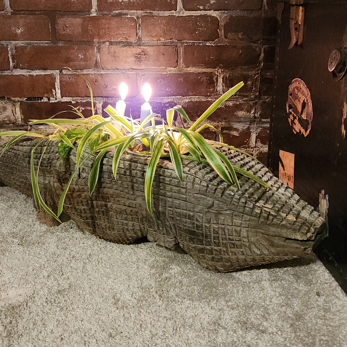 Wooden Alligator Planter