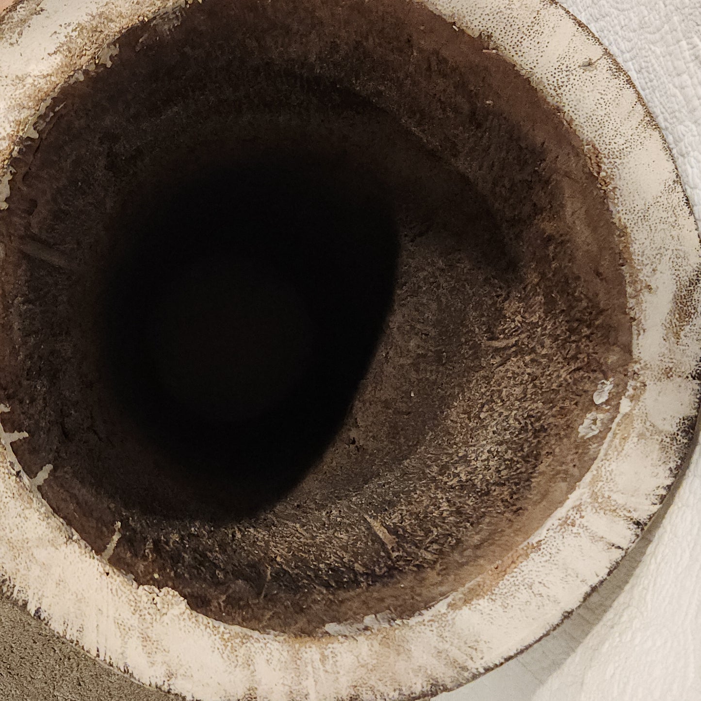 Carved Palm Floor Vase